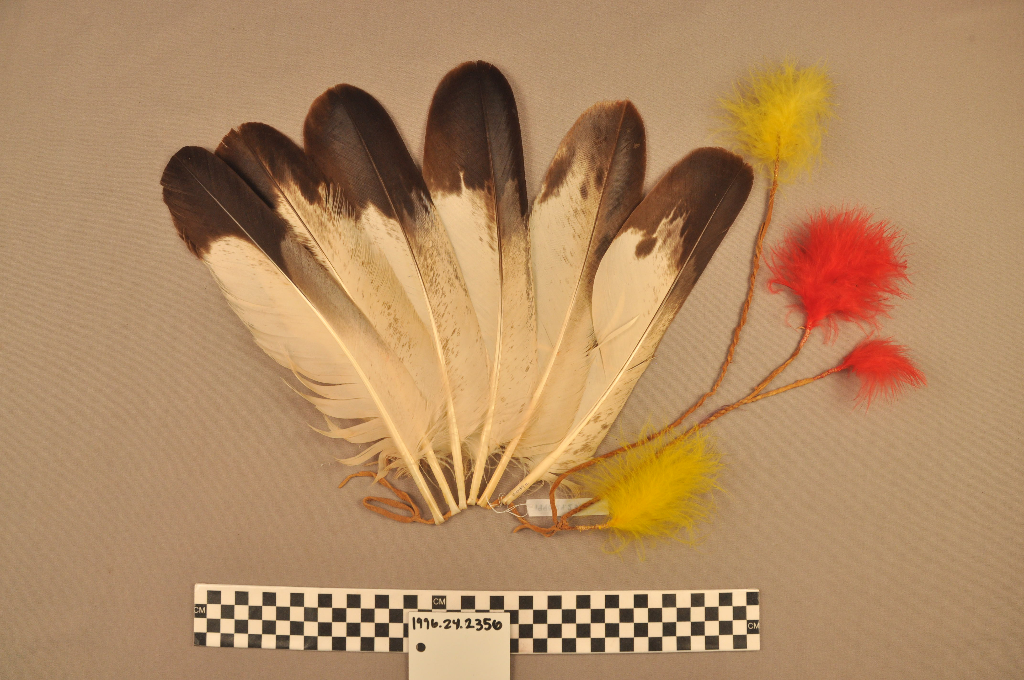 Golden Eagle Feather Hair Ornament Search The Collection