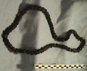 Thumbnail of Necklace (1990.10.0101)