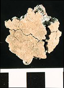 Thumbnail of Water Pipe Fragment (1916.04.0006P)