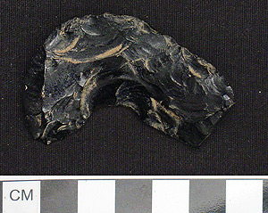 Thumbnail of Stone Tool:  Projectile Point (1998.19.2599)