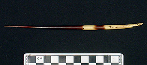 Thumbnail of Porcupine Quill (2006.06.0014B)