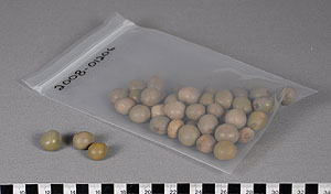 Thumbnail of Awale Game Beads (2009.05.0195B)