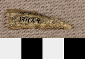 Thumbnail of Stone Tool: Projectile Point (1930.08.0076)