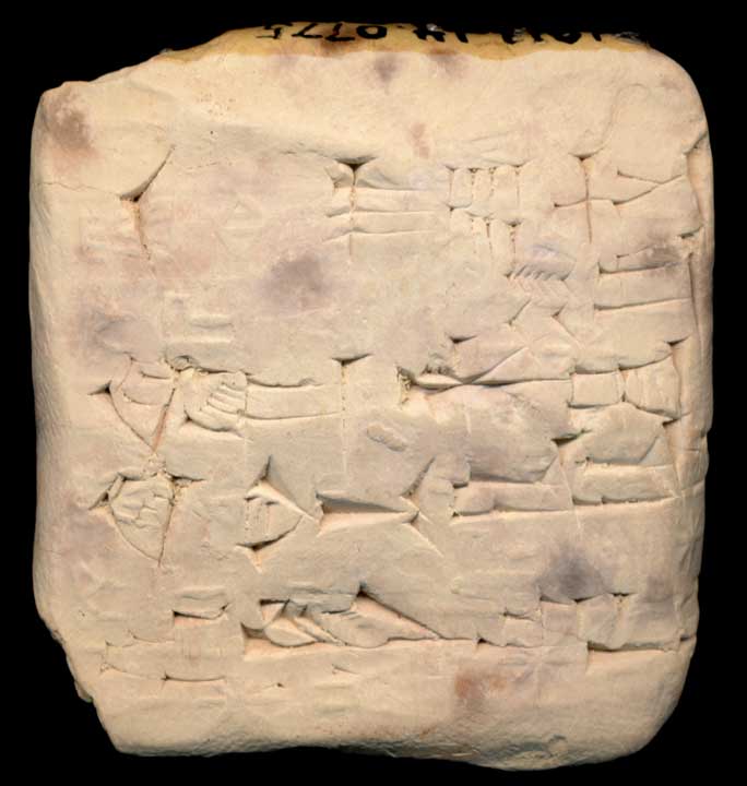 Thumbnail of Cuneiform Tablet (1913.14.0775)