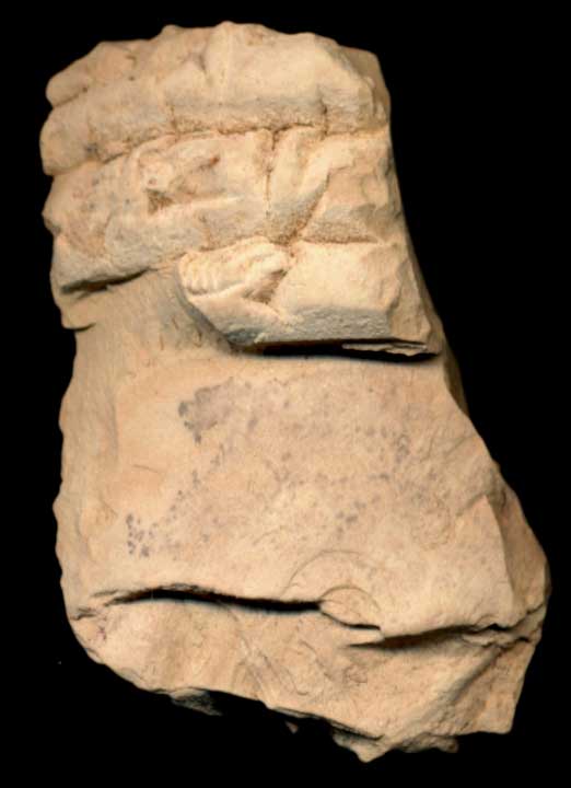 Thumbnail of Cuneiform Tablet (1913.14.1743)