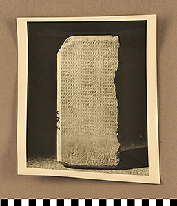 Thumbnail of Photograhic Print:  Rhetor Stone (1966.03.0001)