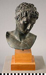 Thumbnail of Plaster Cast: Bust of Youth (1976.13.0002)