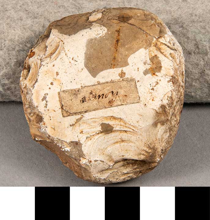Thumbnail of Stone Tool: Hammerstone (1924.02.0885)