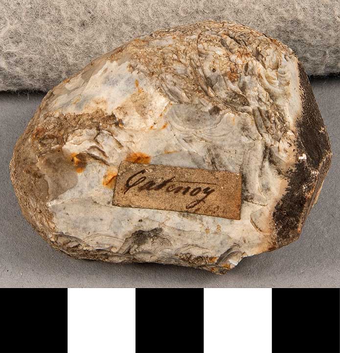 Thumbnail of Stone Tool: Hammerstone (1924.02.0887)