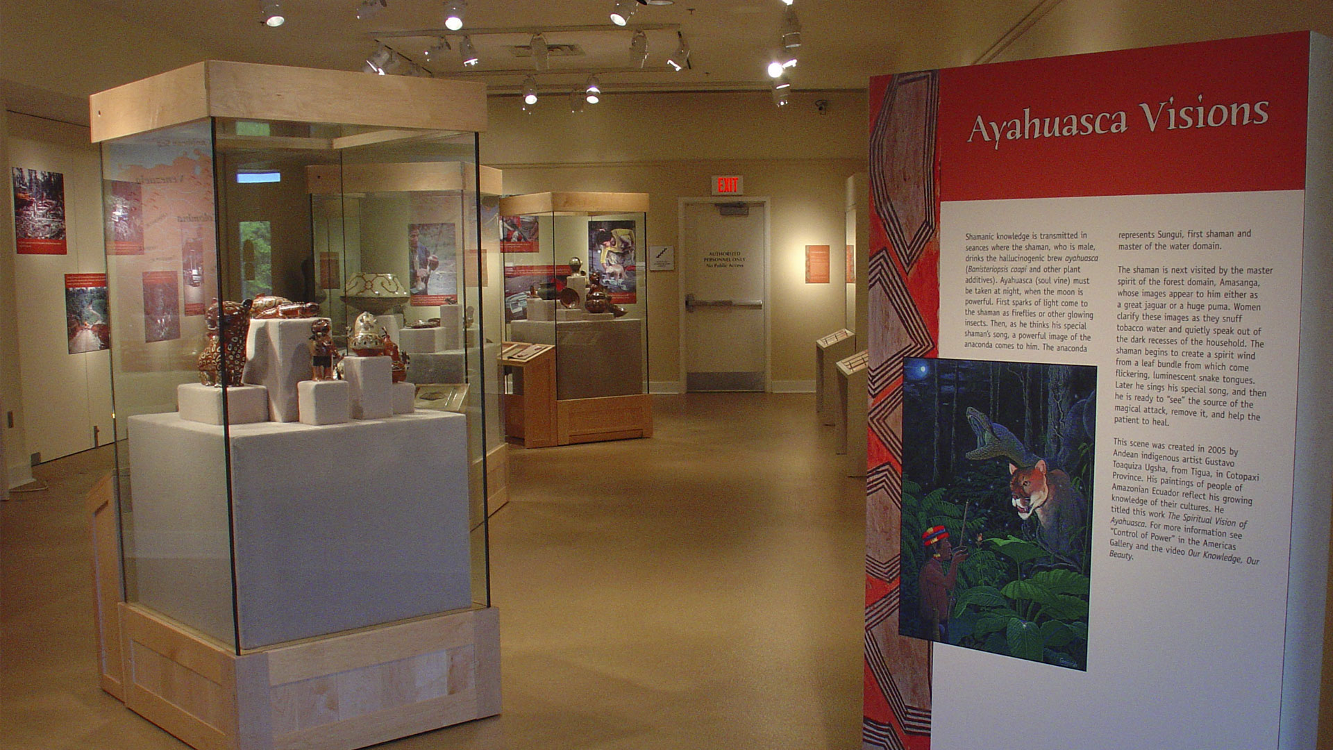 overview of Rainforest Visions exhibit